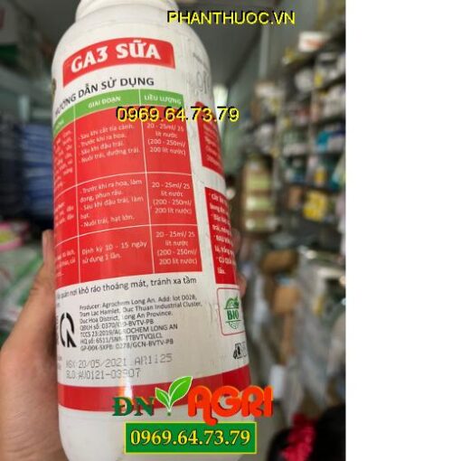 GA3 SỮA- Lớn Trái, Đẹp Trái, Nặng Ký