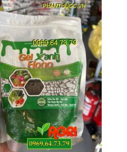 GEL XANH HONO VUA RA RỄ – Siêu Ra Rễ, Vọt Đọt, Tái Sinh Hệ Rễ, Bung Cành Vọt Đọt, Xanh Cây