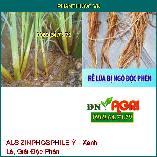 ALS ZINPHOSPHILE Ý – Xanh Lá, Giải Độc Phèn