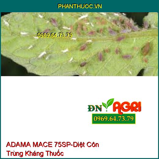 ADAMA MACE 75SP-Diệt Côn Trùng Kháng Thuốc