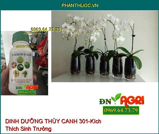 SẢN PHẨM DINH DƯỠNG THỦY CANH 301-Kích Thích Sinh Trưởng, Không Nhiễm Kim Loại