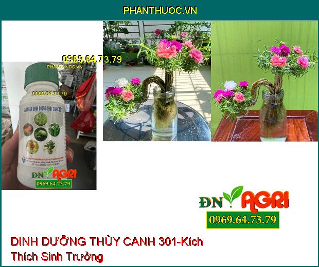 SẢN PHẨM DINH DƯỠNG THỦY CANH 301-Kích Thích Sinh Trưởng, Không Nhiễm Kim Loại