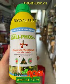 HOP TRI – KALI PHOS – Rễ Phát Triển Mạnh – Hoa Ra Sớm – Trái Mau Lớn