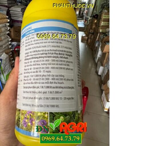 HOP TRI – KALI PHOS – Rễ Phát Triển Mạnh – Hoa Ra Sớm – Trái Mau Lớn