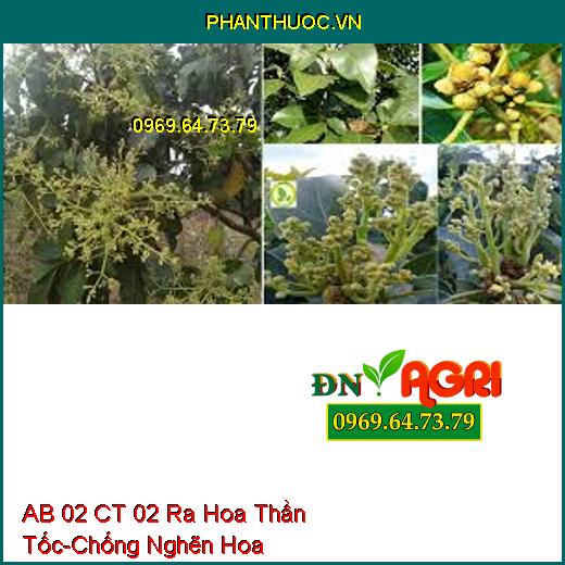 AB 02 CT 02 Ra Hoa Thần Tốc-Chống Nghẽn Hoa, Tăng Khả Năng Thụ Phấn