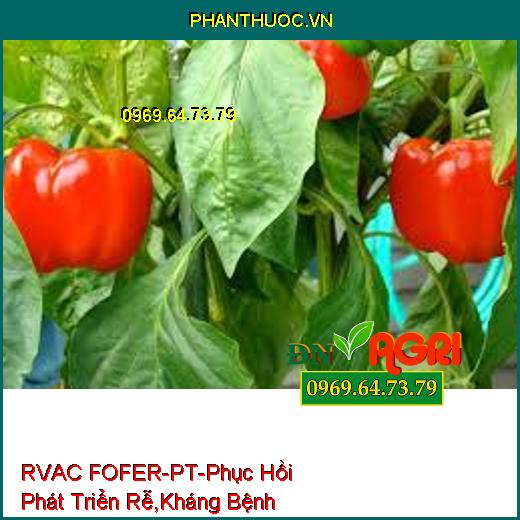 RVAC FOFER-PT-Phục Hồi Phát Triển Rễ, Kháng Bệnh Hại, Vàng Lá, Xu Đọt, Thối Trái