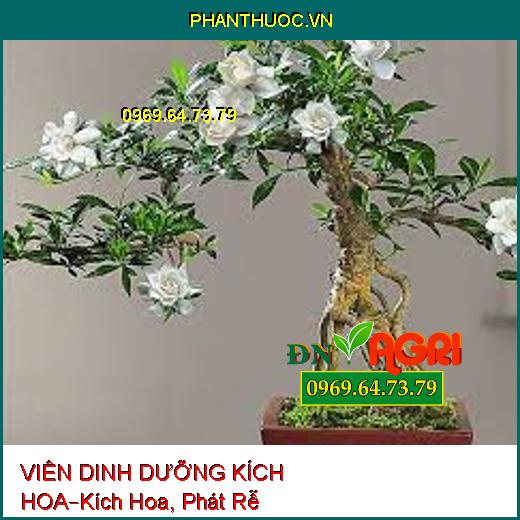 VIÊN DINH DƯỠNG KÍCH HOA –Kích Hoa, Phát Rễ, Nuôi Cây Cho Hoa Kiểng, Bonsai