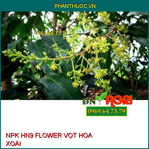 NPK HN9 FLOWER VỌT HOA XOÀI –Phân Hóa Mầm Hoa, Bộ Rễ Bung Mạnh, Đậu Trái Nhiều