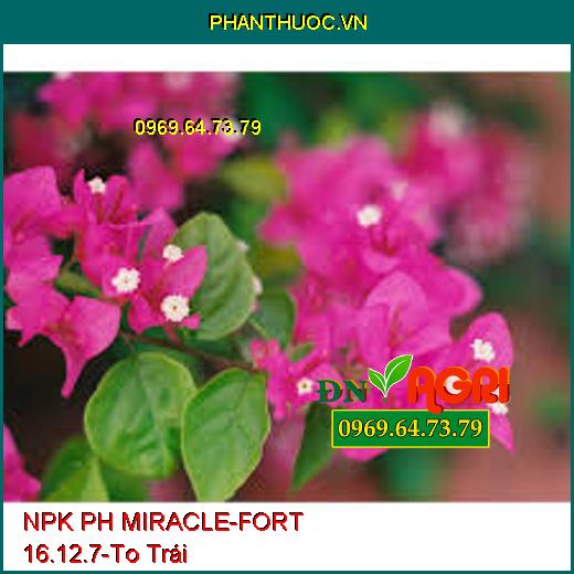 NPK PH MIRACLE-FORT 16.12.7-Ngăn Nghẽn Đòng, To Trái, Chắc Cuốn, Chống Rụng Trái