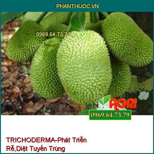 TRICHODERMA-Đối Kháng Mầm Bệnh, Phát Triễn Rễ, Cải Tạo Đất, Diệt Tuyến Trùng