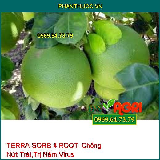 TERRA-SORB 4 ROOT –Thúc Đẩy Cây Lớn Nhanh, Chống Nứt Trái, Trị Bệnh Nấm, Virus