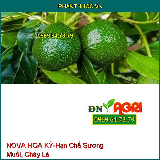 NOVA HOA KỲ-Hạn Chế Sương Muối, Cháy Lá, Loang Trải Đều, Bám Dính Cực Mạnh