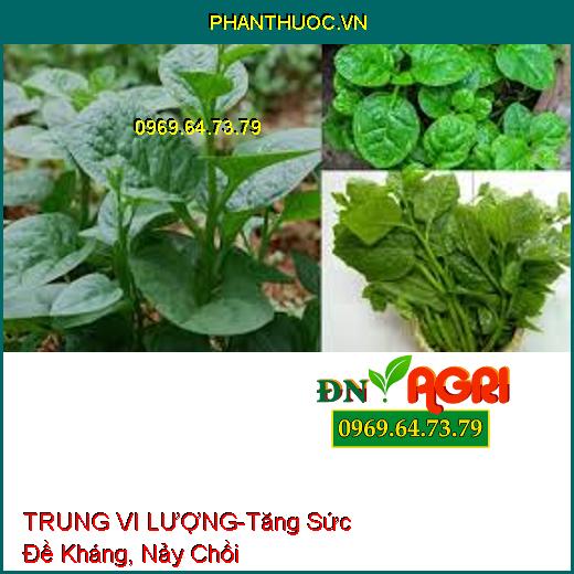 TRUNG VI LƯỢNG-Tăng Sức Đề Kháng, Nảy Chồi, Thối Rễ Mùa Mưa, Chuyển Hóa Đạm Lân