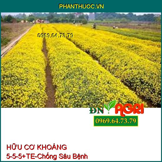 HỮU CƠ KHOÁNG 5-5-5+TE-Chịu Ngập Hạn, Chống Sâu Bệnh, Cải Tạo Phì Nhiêu Đất