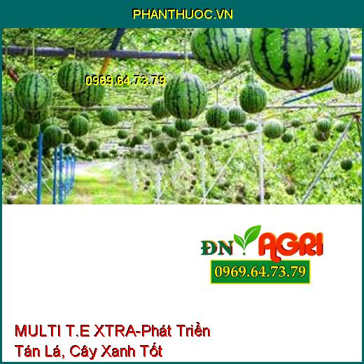 MULTI T.E XTRA-Phát Triển Tán Lá, Cây Xanh Tốt, Tăng Quang Hợp