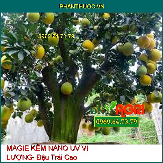 MAGIE KẼM NANO UV VI LƯỢNG- Đậu Trái Cao, Hạn Chế Rụng Trái, Nứt Thân, Xì Mủ