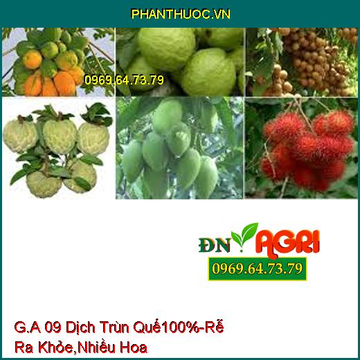 G.A 09 Dịch Trùn Quế 100%-Cây Trồng Trưởng Thành Mạnh, Rễ Ra Khỏe, Ra Nhiều Hoa