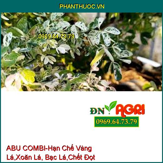 ABU COMBI-Hạn Chế Vàng Lá, Xoăn Lá, Bạc Lá, Chết Đọt Non, Phục Hồi Cây Nhanh