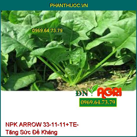 NPK ARROW 33-11-11+TE- Tăng Sức Đề Kháng, Phục Hồi Nhanh, Tăng Vị Ngọt