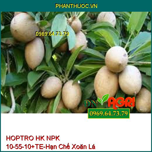 HOPTRO HK NPK 10-55-10+TE-Hạn Chế Xoăn Lá Non, Chống Đén Cây