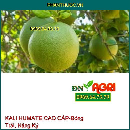 KALI HUMATE CAO CẤP-Rễ Phát Triển, Bóng Trái, Nặng Ký, Giải Độc Hữu Cơ Cực Mạnh