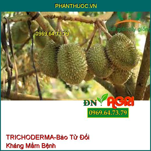 TRICHODERMA-Bào Tử Đối Kháng Mầm Bệnh, Cung Cấp Vi Sinh Vật, Phát Triển Rễ