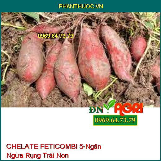 VI LƯỢNG CHELATE FETICOMBI 5 -Giảm Thiếu Hụt Vi Lượng, Ngăn Ngừa Rụng Trái Non