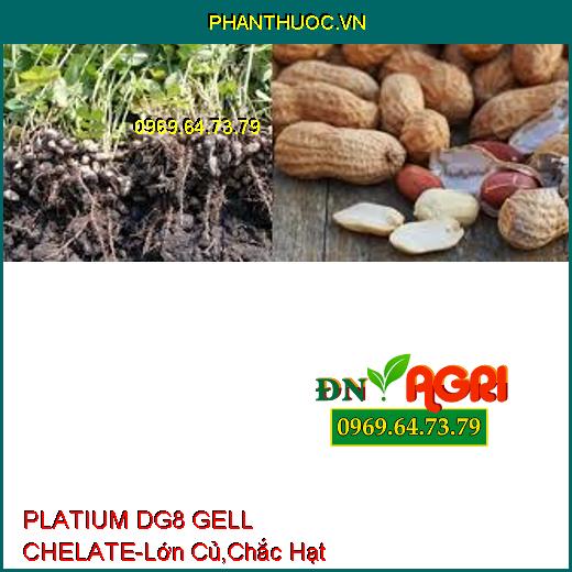 PLATIUM DG8 GELL CHELATE-Siêu Lớn Củ, Cứng Dây, Chắc Hạt, Chín Sớm