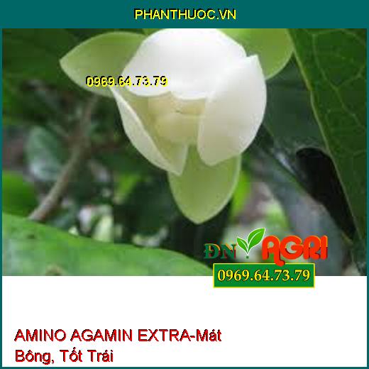 AMINO AGAMIN EXTRA-Tăng Độ Màu Mỡ, Năng Suất, Xử Lý Bệnh Hại, Mát Bông, Tốt Trái