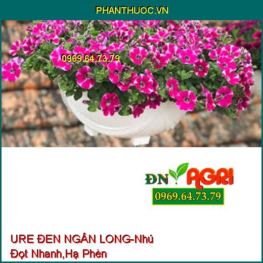 URE ĐEN NGÂN LONG-Phát Triển Thân, Lá, Nhú Đọt Nhanh, Hạ Phèn, Cải Tạo Đất