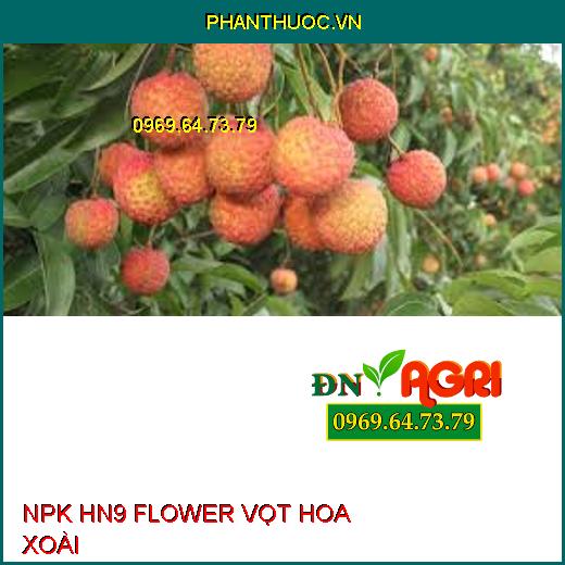 NPK HN9 FLOWER VỌT HOA XOÀI –Phân Hóa Mầm Hoa, Bộ Rễ Bung Mạnh, Đậu Trái Nhiều