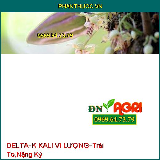 DELTA – K KALI VI LƯỢNG –Giúp Trái To, Nặng Ký, Ra Hoa Đồng Loạt, Chín Đều