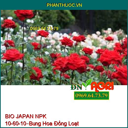 BIO JAPAN NPK 10 -60-10 –Phân Hóa Mầm Hoa Cực Mạnh, Bung Hoa Đồng Loạt