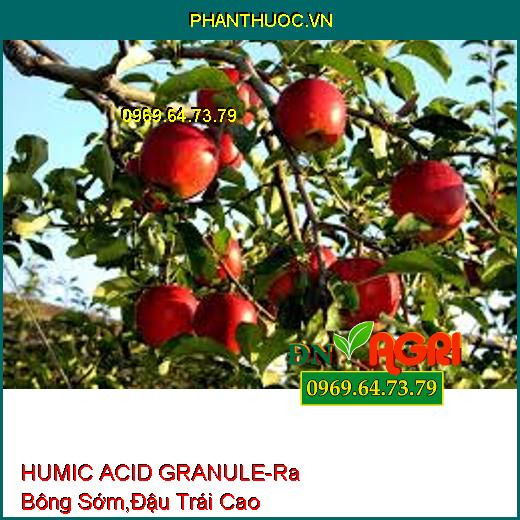 HUMIC ACID GRANULE-Ra Bông Sớm, Tỷ Lệ Đậu Trái Cao, Chống Rụng Trái, Nứt Trái