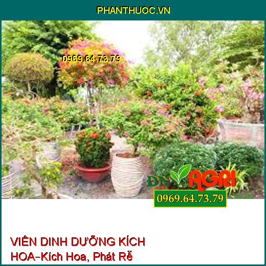 VIÊN DINH DƯỠNG KÍCH HOA –Kích Hoa, Phát Rễ, Nuôi Cây Cho Hoa Kiểng, Bonsai