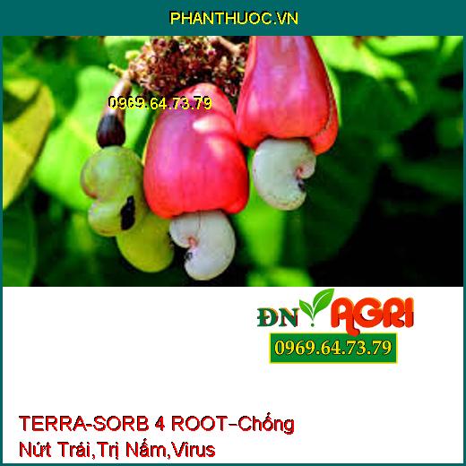 TERRA-SORB 4 ROOT –Thúc Đẩy Cây Lớn Nhanh, Chống Nứt Trái, Trị Bệnh Nấm, Virus