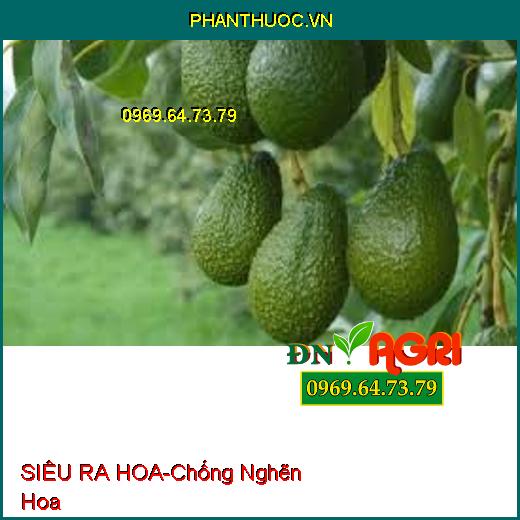 SIÊU RA HOA-Chống Nghẽn Hoa, Chậm Ra Hoa, Ức Chế Đọt Non Phát Triển