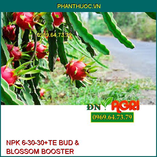 NPK 6-30-30+TE BUD & BLOSSOM BOOSTER-Trổ Đều, Chắc Hạt, Tăng Năng Suất