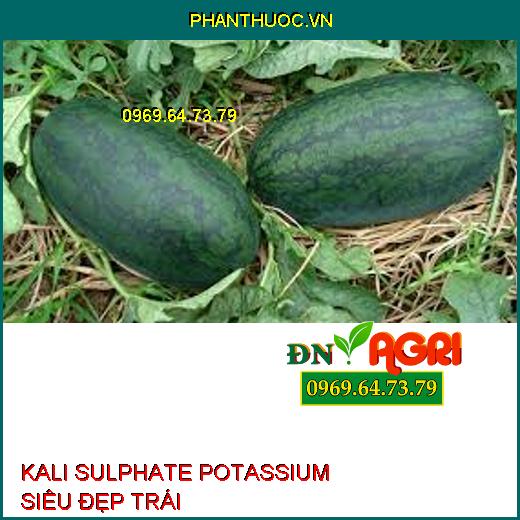 KALI SULPHATE POTASSIUM SIÊU ĐẸP TRÁI-Chặn Ngọn, Chắc Hạt, Tăng Chất Lượng