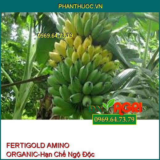 FERTIGOLD AMINO ORGANIC-Hạn Chế Ngộ Độc, Bệnh Hại, Hạn Hán, Sương Muối