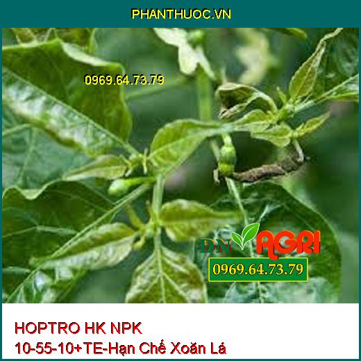 HOPTRO HK NPK 10-55-10+TE-Hạn Chế Xoăn Lá Non, Chống Đén Cây