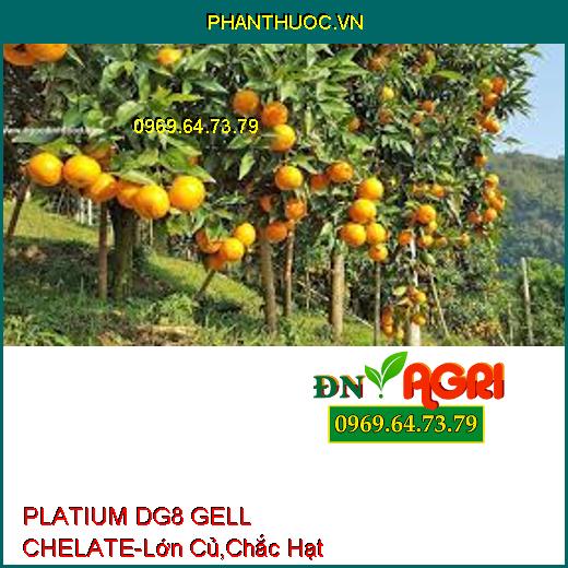 PLATIUM DG8 GELL CHELATE-Siêu Lớn Củ, Cứng Dây, Chắc Hạt, Chín Sớm