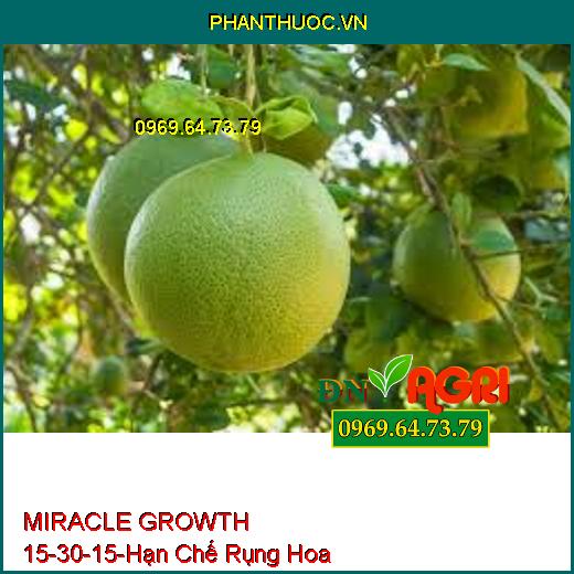 MIRACLE GROWTH 15-30-15-Hạn Chế Rụng Hoa, Siêu Ra Rễ, Đâm Chồi, Đẻ Nhánh