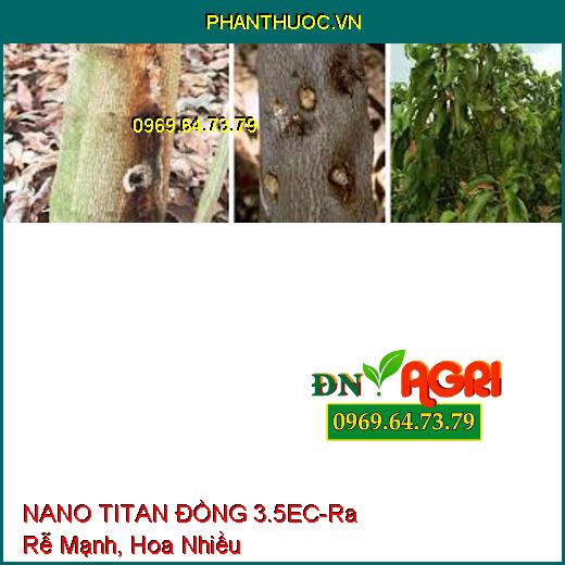 NANO TITAN ĐỒNG 3.5EC-Ra Rễ Mạnh, Ra Hoa Nhiều, Dễ Ra Hoa Đậu Trái