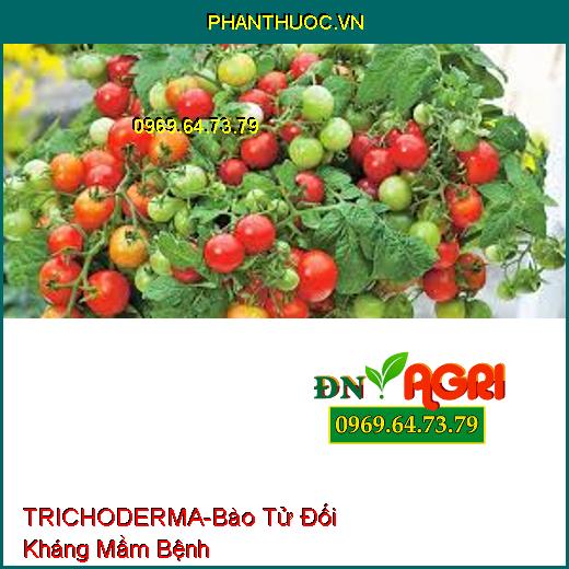 TRICHODERMA-Bào Tử Đối Kháng Mầm Bệnh, Cung Cấp Vi Sinh Vật, Phát Triển Rễ