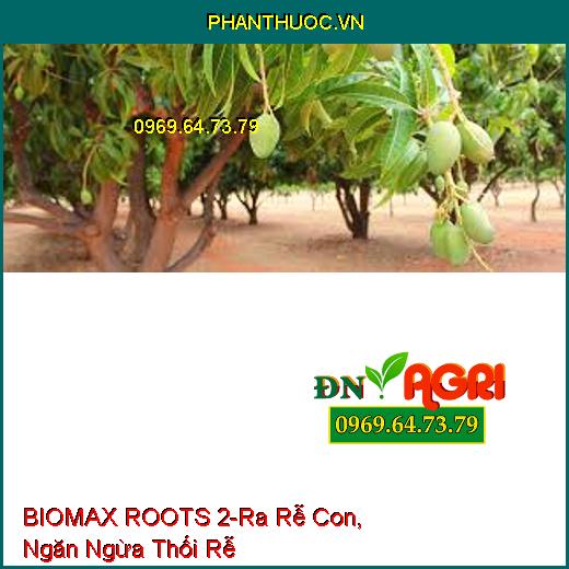 BIOMAX ROOTS 2-Tăng Khả Năng Ra Rễ Con, Ngăn Ngừa Thối Rễ, Phục Hồi Nhanh