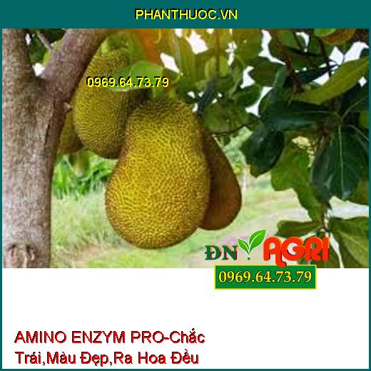 PHÂN BÓN HỮU CƠ KHOÁNG AMINO ENZYM PRO-Chắc Trái , Lên Màu Đẹp, Ra Hoa Đều, Tăng Năng Suất