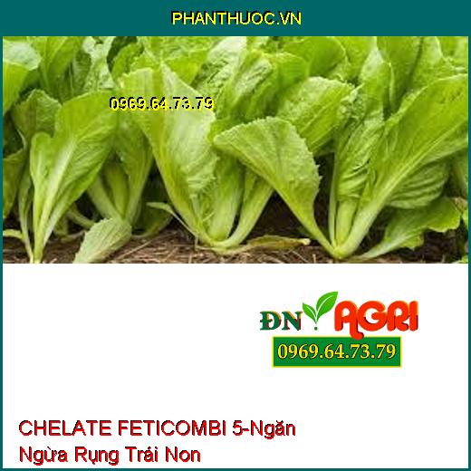 VI LƯỢNG CHELATE FETICOMBI 5 -Giảm Thiếu Hụt Vi Lượng, Ngăn Ngừa Rụng Trái Non