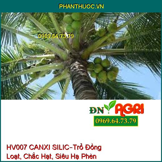 HV007 CANXI SILIC –Chống Nghẹn Đồng, Trổ Đồng Loạt, Chắc Hạt, Siêu Hạ Phèn