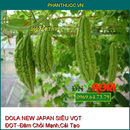 DOLA NEW JAPAN SIÊU VỌT ĐỌT–Đâm Chồi Mạnh, Bung Đọt Hàng Loạt, Cải Tạo Đất